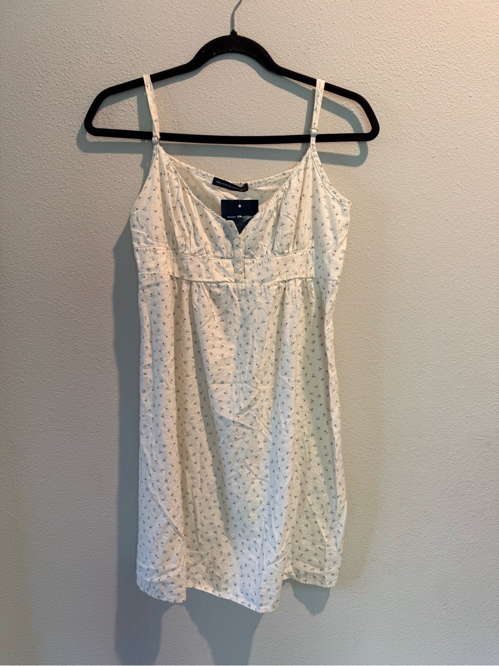 Brandy Melville Cream Mini Dress with Tiny Blue Floral Print